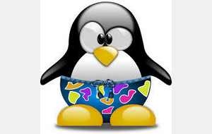 FIN DE SAISON 2024 2025